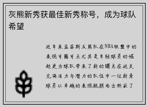 灰熊新秀获最佳新秀称号，成为球队希望