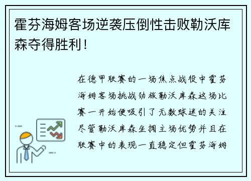 霍芬海姆客场逆袭压倒性击败勒沃库森夺得胜利！